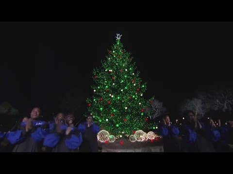 President Biden attends National Christmas Tree lighting