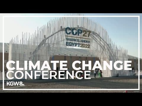 Bonamici, Blumenauer attend COP27 in Egypt