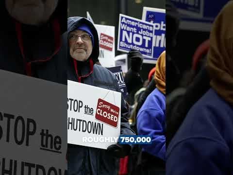 GOVERNMENT SHUTDOWN (in 90 Seconds): What is Means, What Happened