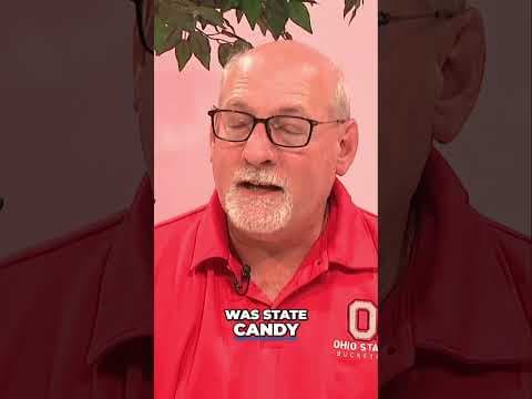 What should Ohio’s official candy be? ‘It’s gotta be the buckeye,’ one lawmaker says #shorts