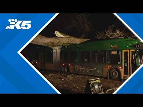 Bomb cyclone leaves widespread damage around western Washington