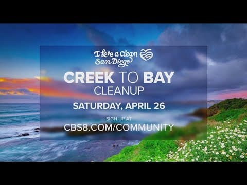Creek to Bay Cleanup 2025 | How you can help