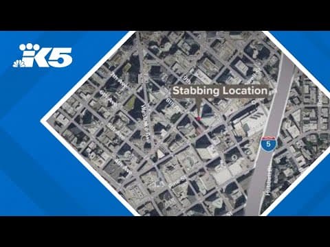 Seattle police investigating sword vs. knife fight