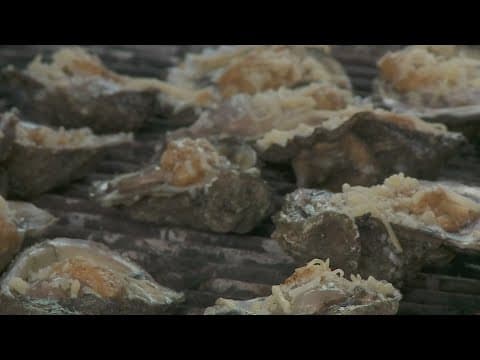 Festival celebrates local seafood industry