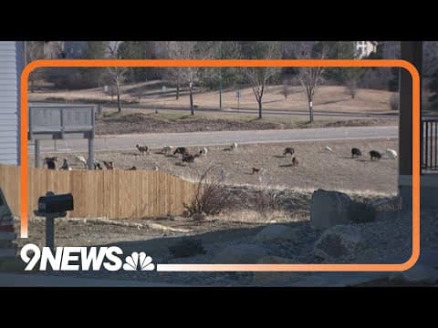 Fierce winds, high fire danger stir up difficult memories 3 years after Marshall Fire