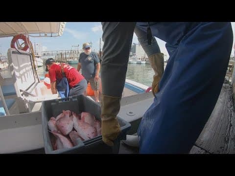 Gulf Coast fishermen say Trump’s seafood order could do more harm than good