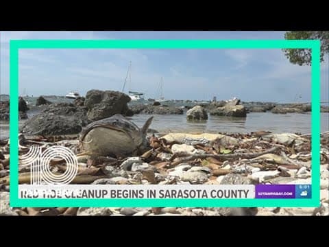 High red tide levels detected along Florida coastline