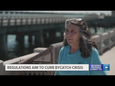 Regulations aim to curb bycatch crisis in Florida waters