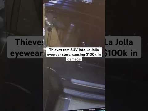 Thieves target eyewear store in San Diego, causing $100k in damage and almost killing a fish.