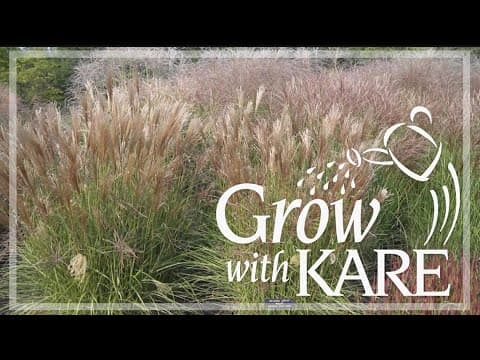 Grow with KARE: How to plant a non-messy native garden