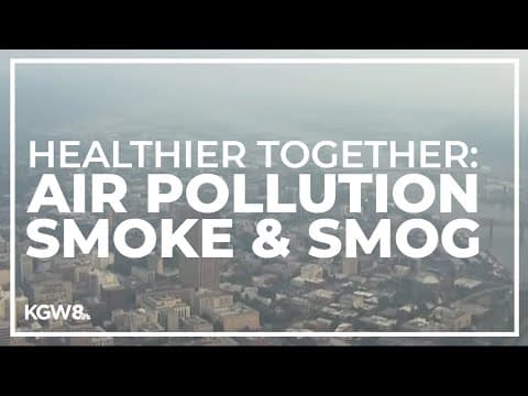 How poor air quality can negatively impact our health outcomes