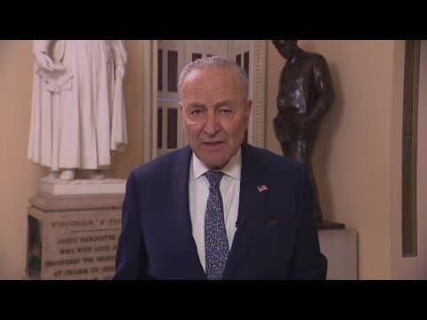 Chuck Schumer postpones book tour