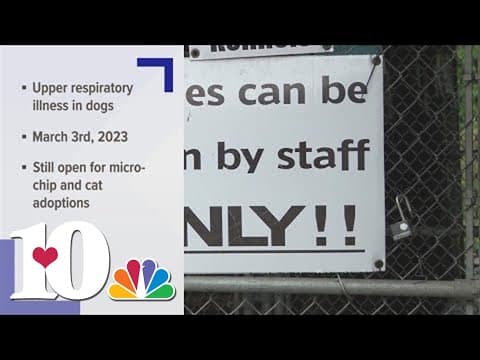 Monroe Co. animal shelter closed for two weeks after outbreak of upper respiratory illness in dogs