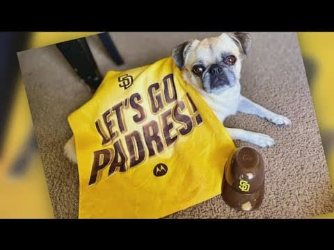 'Padre Pets' could be perfect cure for 'Baseball Blues'