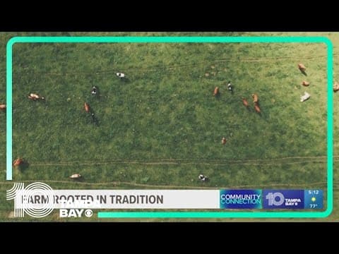 Exploring Starkey Farms: Community Connection (Odessa)