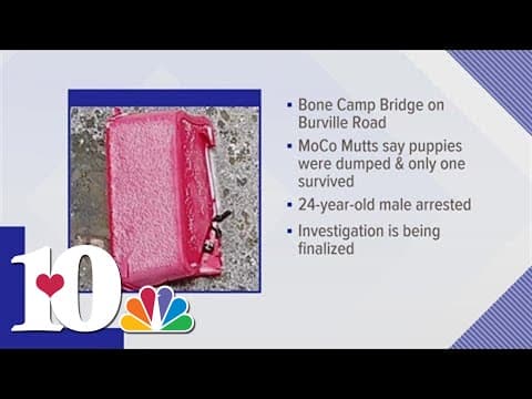 MCSO: Man to be charged after case involving puppies found dead in tote bag in Morgan County