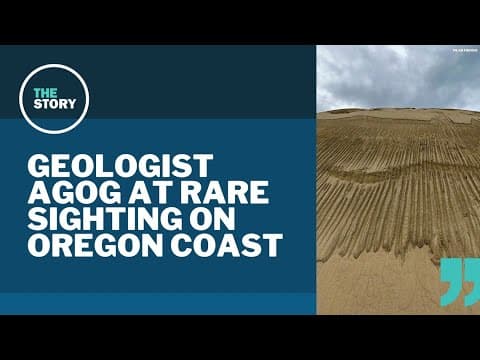 What are these unusual lines on a Oregon coast dune?