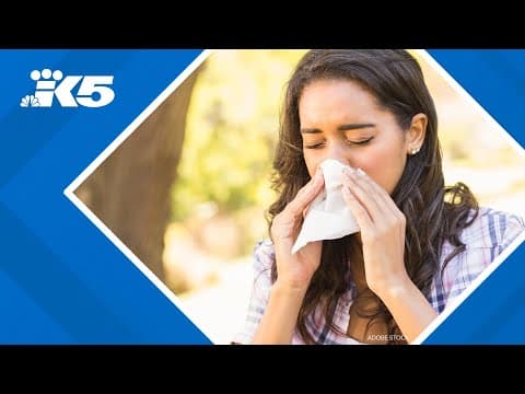 How fall allergies are becoming more widespread in western Washington