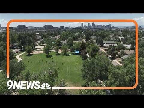 $1.6M in grants offered to communities to increase tree canopy cover