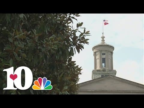 Democrat lawmakers unveil 'family-first' agenda for 2024 TN legislative session