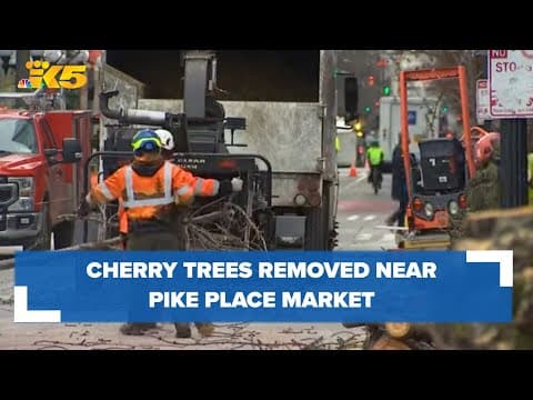 Crews begin removing eight decades-old cherry trees near Seattle’s Pike Place Market