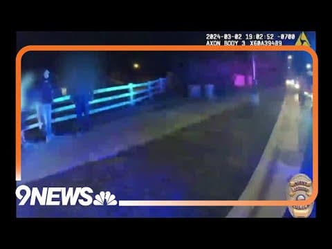 Lakewood Police Department hit-and-run arrest