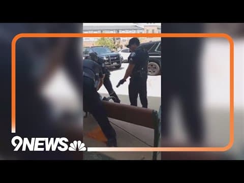 Video captures Englewood officer using Taser on unhoused man as his dog was seized