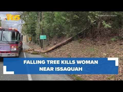 Falling tree kills 1 woman in Issaquah