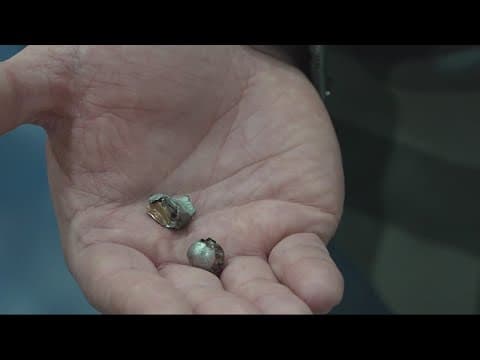 North Portland business riddled with bullet holes; owner wants solutions