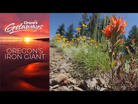 The hike up to Oregon's Iron Mountain is lined with a wealth of wildflowers