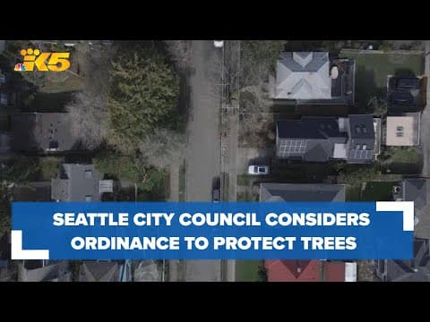 Seattle City Council considering new ordinance to protect trees