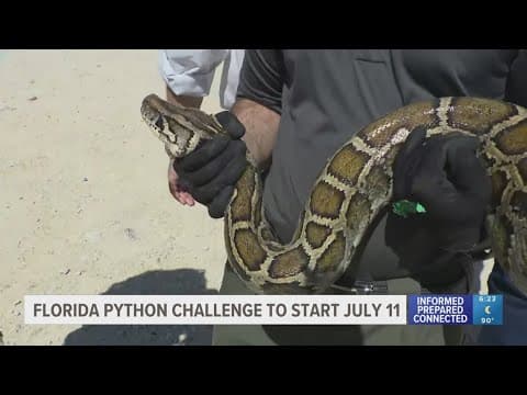 Wildlife officials share details on this year's Florida Python Challenge