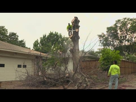 Storm debris cleanup in DFW could take 60 days or more