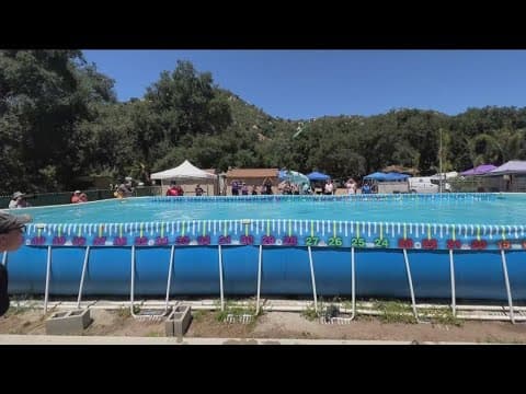 World record-breaking dog jumps more than 36 feet in dock dive competition