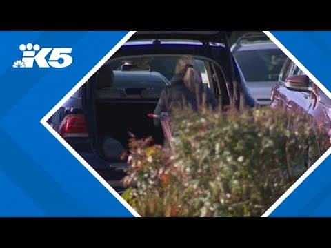 Police investigating purse snatching crimes in Gig Harbor