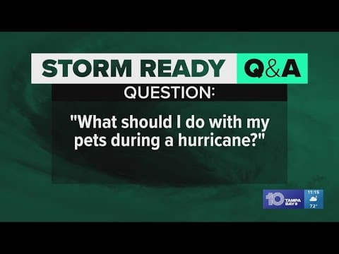 What should I do with my pets during a hurricane?
