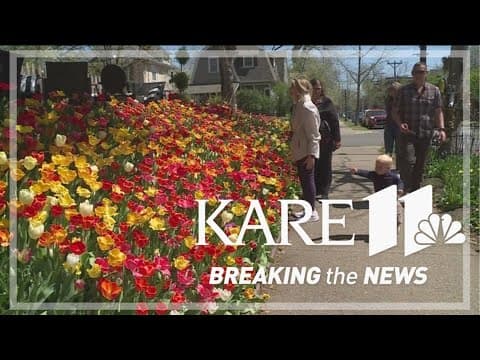 Local legend 'Tulip House' listed for sale in Minneapolis