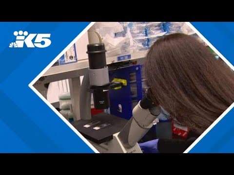 Potential NIH funding cuts could affect local cancer research