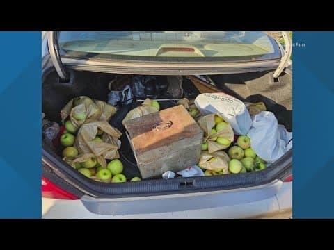 Lynd Fruit Farm announces new protocol as reports of more apple thefts