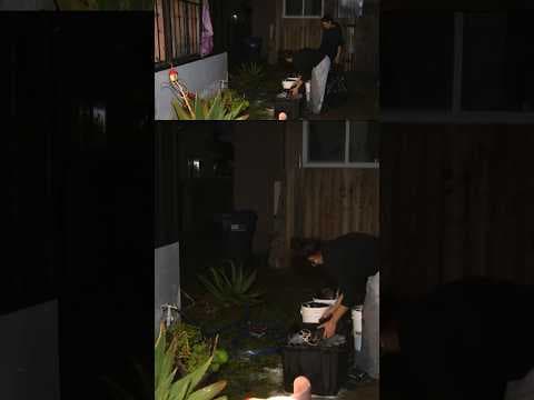 San Diego residents hit by flood damage say they feel ‘betrayed’ and ignored #news