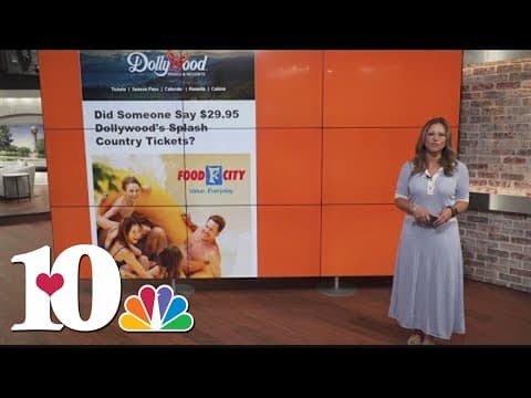 Saving You Money: Dollywood