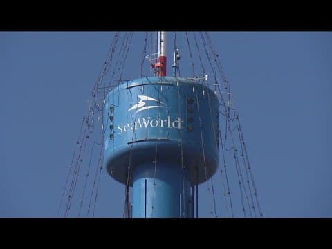 City of San Diego says SeaWorld owes $10 million in back rent, but the theme park disagrees
