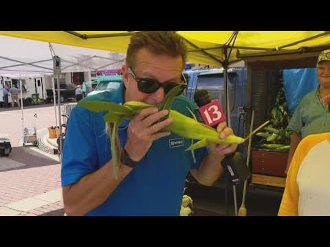 SPARK on the Circle | Good News with Dave Calabro