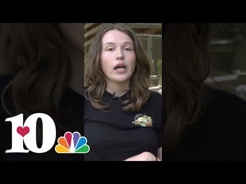 East Tennessee woman takes alligator on 700-mile road trip to Florida