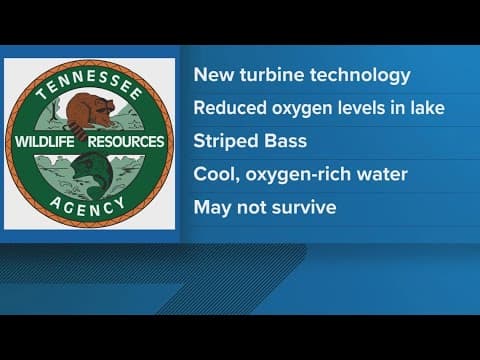 TWRA asks for feedback after new TVA plans could disrupt bass habitat