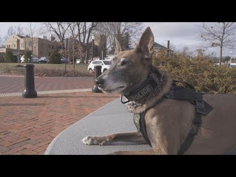 Retired Westerville police K9 Fiji passes away following battle with cancer
