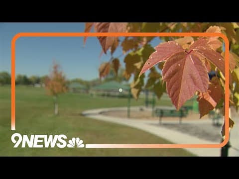 Suspect arrested after teen killed in shooting at Rotella Park