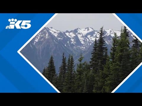 Olympic National Forest's new cashless policy