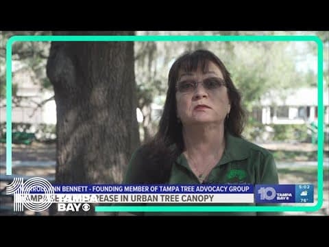 'Cut down at an alarming rate': Tampa's urban tree canopy decreases by more than 12%
