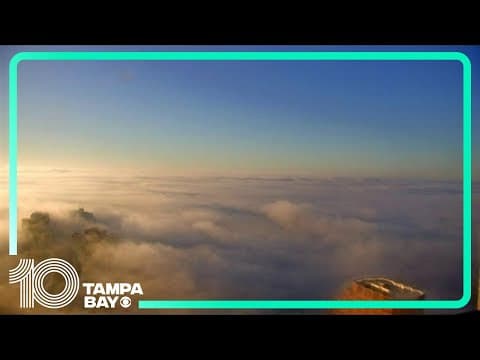 LIVE LOOK: Thanksgiving in Tampa Bay is off to a foggy start